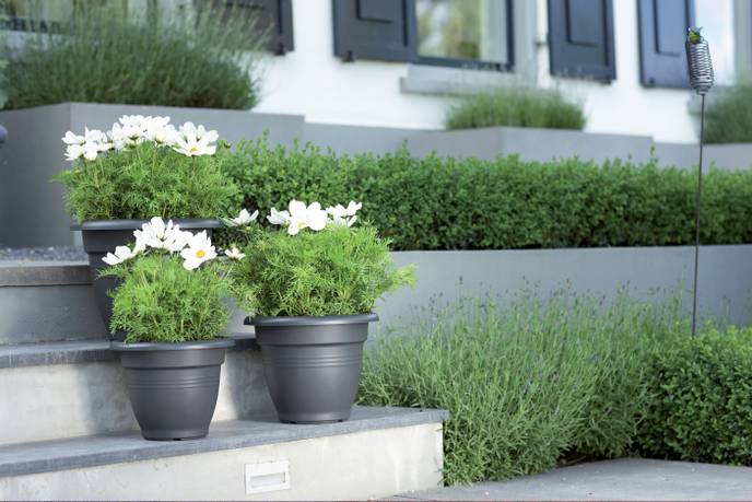 green basics campana 50cm living black